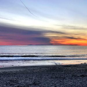 Meet your Posher, Freddy